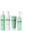 Sensorial mint